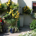 25 Townstal Crescent