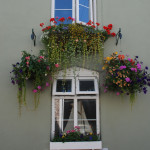 9 Roseville Street