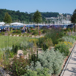 Dart Marina