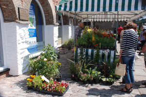 Market