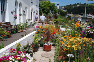 Coombe Terrace