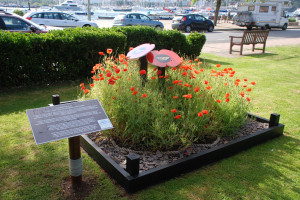 Poppy bed Sea Cadets