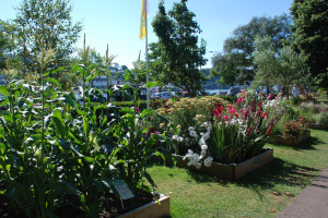 potager2014