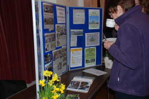 DGP display