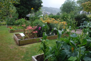 Potager1
