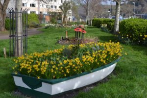 Daffodil boat