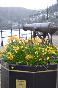 canon planter