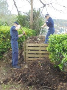 sorting the compost